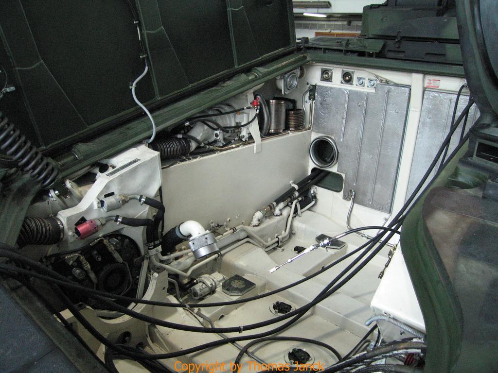 Marder_0067.jpg
