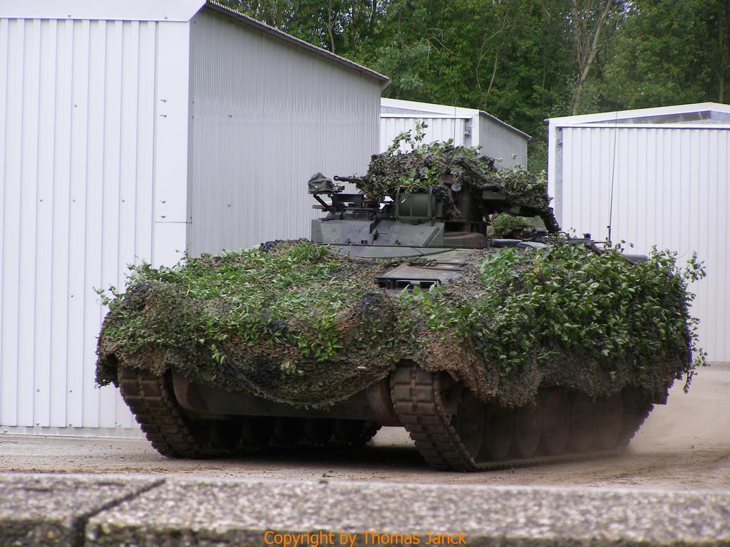 Marder_0091.jpg