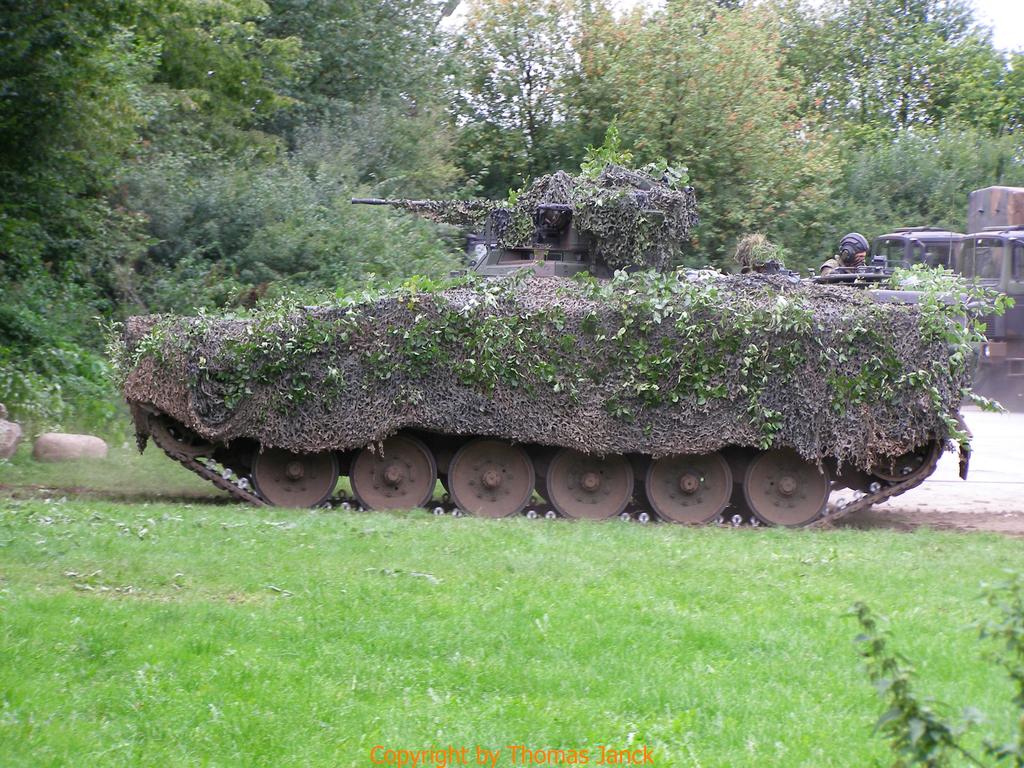 Marder_0093.jpg