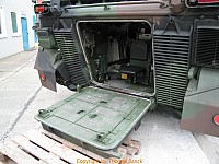 Marder_0085.jpg