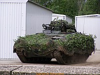 Marder_0091.jpg