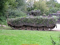 Marder_0093.jpg